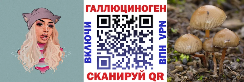 цены наркотик  Углегорск  Псилоцибиновые грибы GOLDEN TEACHER 